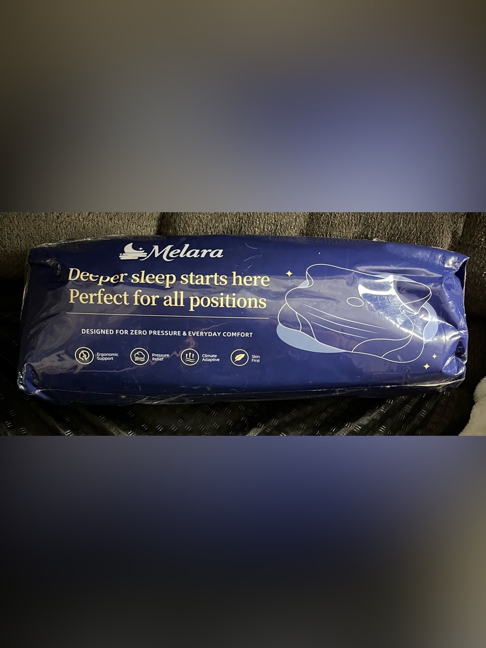 LARA Deep Blue Support Pillow with Cream Accents